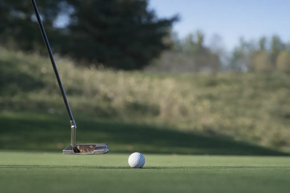 A close-up shot of a golf putter head held slightly above a green, positioned just behind a white golf ball on a putting green with a blurred natural background.