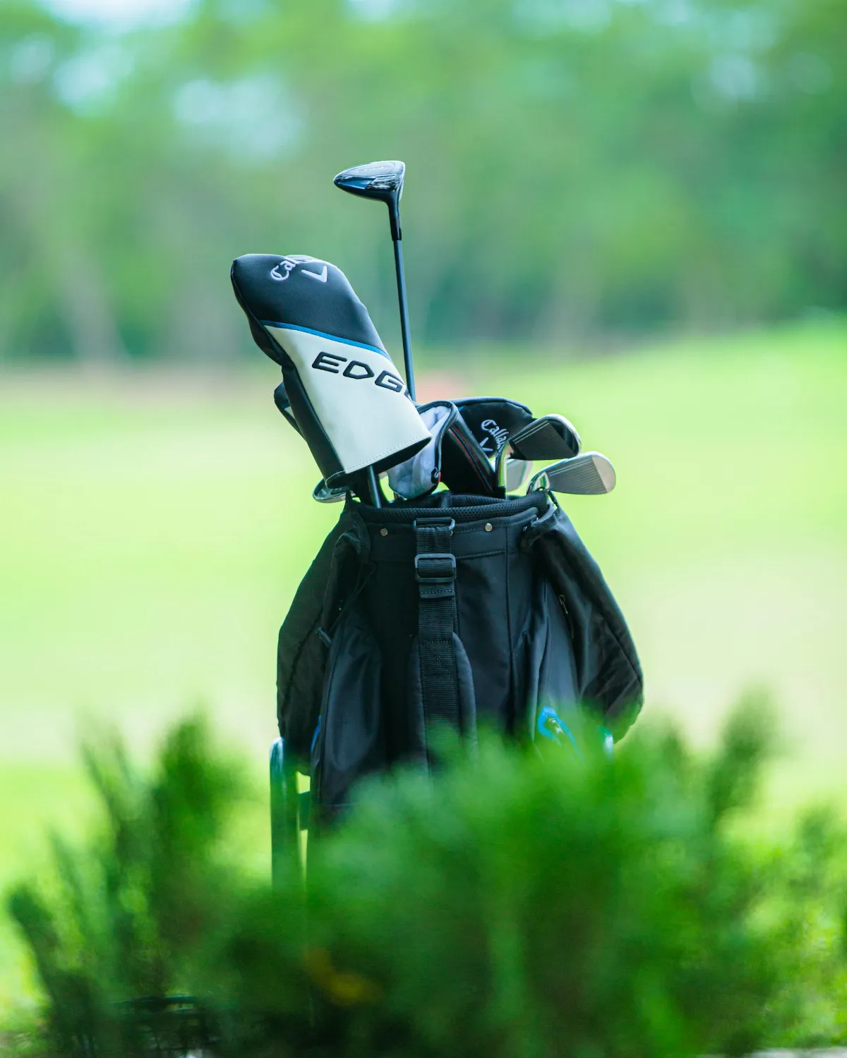 A professional set of golf clubs in a black stand bag, featured as part of the golf specialty package.